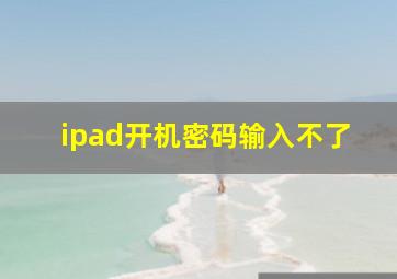 ipad开机密码输入不了