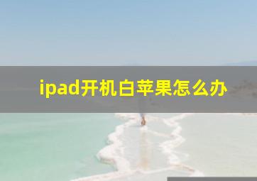 ipad开机白苹果怎么办