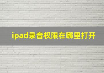 ipad录音权限在哪里打开