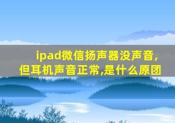 ipad微信扬声器没声音,但耳机声音正常,是什么原团