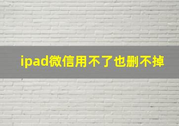 ipad微信用不了也删不掉