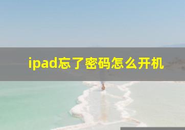 ipad忘了密码怎么开机