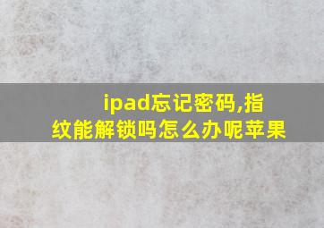 ipad忘记密码,指纹能解锁吗怎么办呢苹果