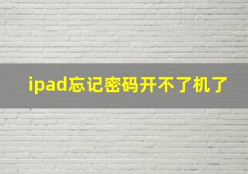 ipad忘记密码开不了机了