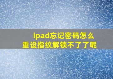 ipad忘记密码怎么重设指纹解锁不了了呢