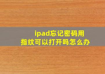 ipad忘记密码用指纹可以打开吗怎么办