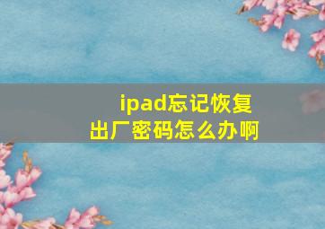 ipad忘记恢复出厂密码怎么办啊