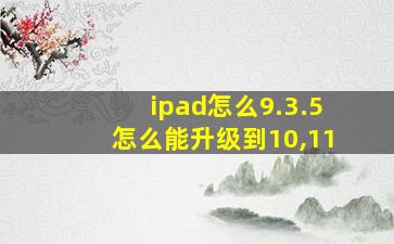 ipad怎么9.3.5怎么能升级到10,11