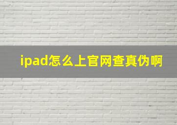 ipad怎么上官网查真伪啊