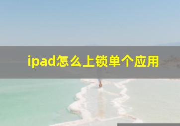 ipad怎么上锁单个应用