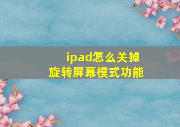 ipad怎么关掉旋转屏幕模式功能