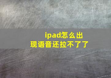 ipad怎么出现语音还拉不了了