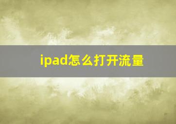 ipad怎么打开流量