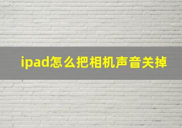 ipad怎么把相机声音关掉