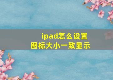 ipad怎么设置图标大小一致显示