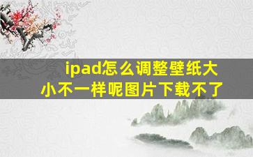 ipad怎么调整壁纸大小不一样呢图片下载不了