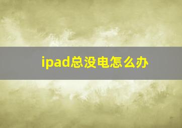 ipad总没电怎么办