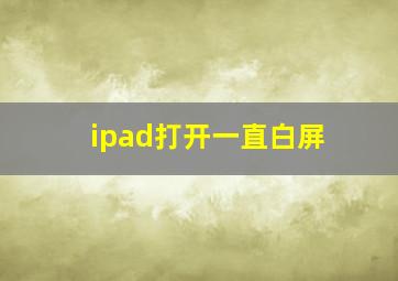 ipad打开一直白屏