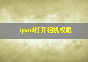 ipad打开相机权限