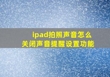 ipad拍照声音怎么关闭声音提醒设置功能