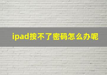 ipad按不了密码怎么办呢