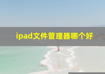 ipad文件管理器哪个好