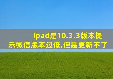 ipad是10.3.3版本提示微信版本过低,但是更新不了