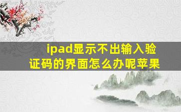 ipad显示不出输入验证码的界面怎么办呢苹果