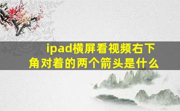 ipad横屏看视频右下角对着的两个箭头是什么