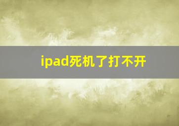 ipad死机了打不开