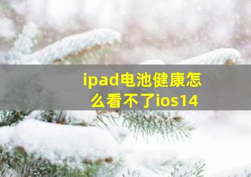 ipad电池健康怎么看不了ios14