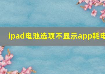 ipad电池选项不显示app耗电