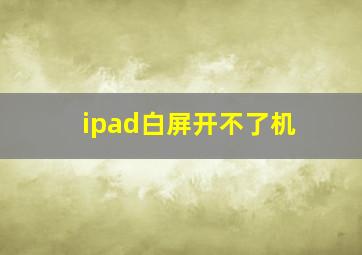 ipad白屏开不了机