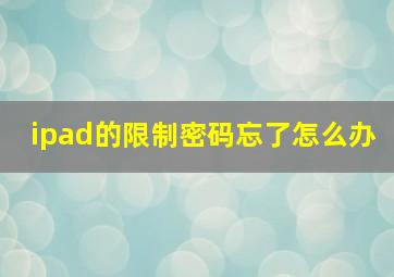 ipad的限制密码忘了怎么办