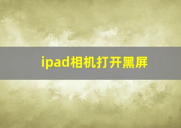 ipad相机打开黑屏