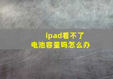 ipad看不了电池容量吗怎么办