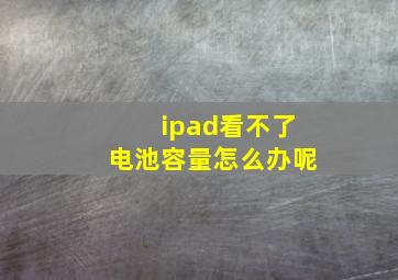 ipad看不了电池容量怎么办呢