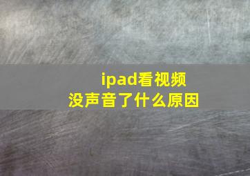 ipad看视频没声音了什么原因