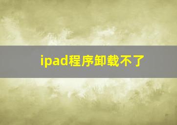 ipad程序卸载不了