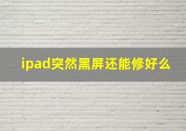 ipad突然黑屏还能修好么