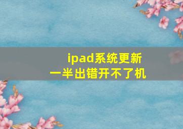 ipad系统更新一半出错开不了机