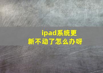 ipad系统更新不动了怎么办呀