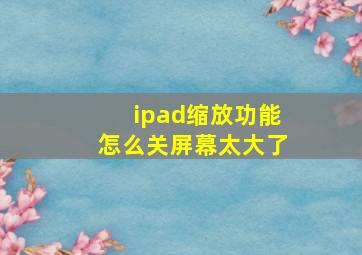 ipad缩放功能怎么关屏幕太大了