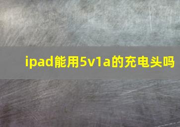 ipad能用5v1a的充电头吗