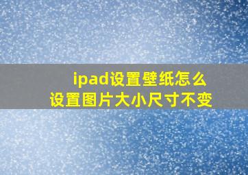 ipad设置壁纸怎么设置图片大小尺寸不变