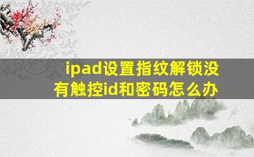 ipad设置指纹解锁没有触控id和密码怎么办