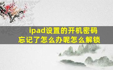 ipad设置的开机密码忘记了怎么办呢怎么解锁