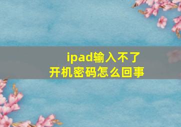 ipad输入不了开机密码怎么回事