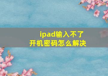 ipad输入不了开机密码怎么解决