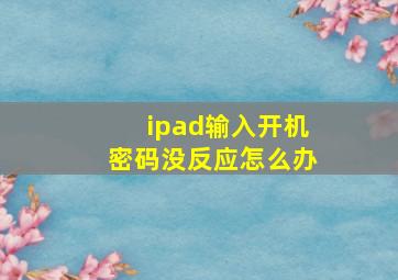 ipad输入开机密码没反应怎么办